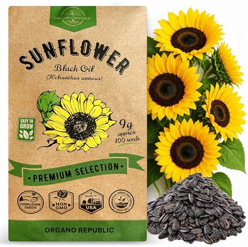 Sunflower Black Oil Seeds Pack 9G - Over 100 of Non-GMO Heirloom Sunflower Seeds for Planting Vegetables in Individual Seed Packet, Vegetable Seeds for Planting Indoor & Outdoor Garden by OrganoRepublic