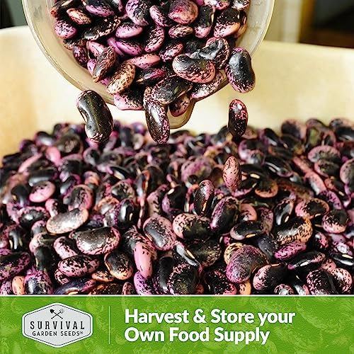 Scarlet Emperor Bean Seeds for Planting - Survival Garden Seeds (5 Pack) - Image 6