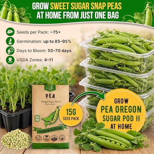 Pea Oregon Sugar Pod II Seeds Pack 15G - Over 75 Non-GMO Heirloom Pea Seeds for Planting Vegetables in Individual Seed Packet, Vegetable Seeds for Planting Home Garden Indoor & Outdoor - Image 4
