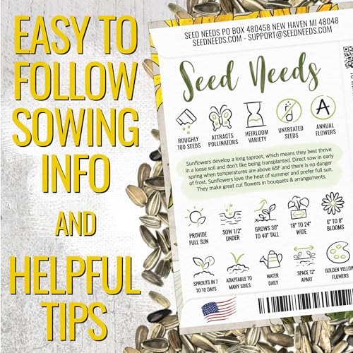 Seed Needs Incredible Dwarf Sunflower Seeds to Plant Cut Flowers - 2 Packs - Image 3