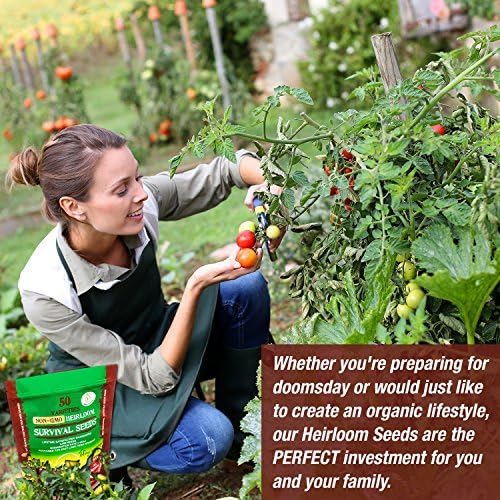 Heirloom Vegetable Seeds Non GMO Survival Seed Kit - Part of Our Legacy and Heritage - 50 Varieties 100% Naturally Grown- Best for Gardeners Who Raise Their Own Healthy Food - Image 4