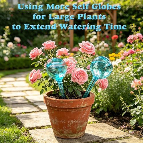 Plant Self Watering Globes, Large 12pcs Flower Automatic Watering Bulbs, Plastic Plant Flower Self Watering Devices, Garden Self Watering Planter Insert for Daily Vocation Watering, Forgetful Gardener - Image 3
