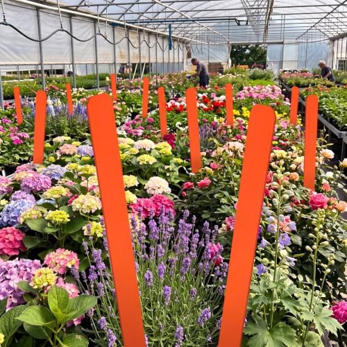 Weysat 200 Pcs 15" Wood Plant Labels for Field or Containers Plant Tags Wood Garden Labels for Seedling Stakes Markers Nursery Seed Tags with Smooth Surface for Pot Herbs Flowers Vegetables - Image 4