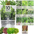 Leafy Greens Seeds | 10 Individual Packs | 2026 Season | Non-GMO | Lettuce, Kale, Spinach, Arugula & More! | for Planting Indoor & Outdoor | by Family Sown by FamilySown