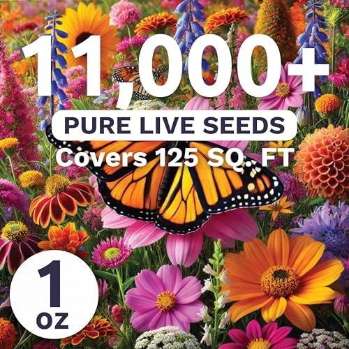 Monarch Butterfly Rescue Mix - Large 1 Ounce Packet - 11,000 Flower Seeds for Planting - Wildflower Mix - Image 2