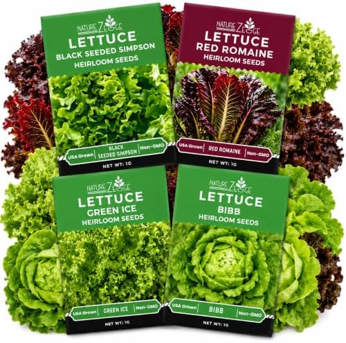 NatureZ Edge Lettuce Seeds for Planting, 4 Popular Varieties Non-GMO Heirloom Seeds, Red Romaine, Bibb Butter, Black Seeded Simpson, Green Ice Lettuce, Romaine, Salad Lettuce, Hydroponic Garden, USA by NatureZEdge