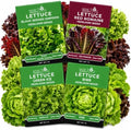 NatureZ Edge Lettuce Seeds for Planting, 4 Popular Varieties Non-GMO Heirloom Seeds, Red Romaine, Bibb Butter, Black Seeded Simpson, Green Ice Lettuce, Romaine, Salad Lettuce, Hydroponic Garden, USA by NatureZEdge