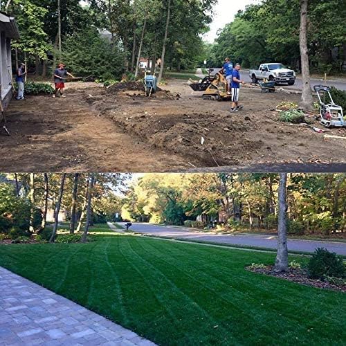 Barenbrug Turf Saver RTF Grass Seed w/Yellow Jacket Coating- Less Water Self-Repairing Tall Fescue Turf for Use on Sports Field, Golf Courses, Parks, Lawns, and Yard (50 LB Bag) - Image 5