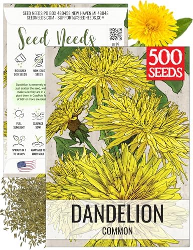 Seed Needs Dandelion Seeds to Plant an Herb Garden - 1 Pack by SeedNeeds