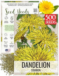 Seed Needs Dandelion Seeds to Plant an Herb Garden - 1 Pack by SeedNeeds