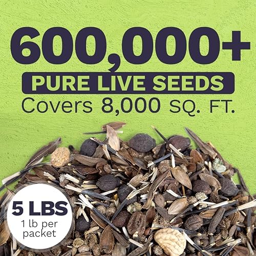 Bulk Wildflower Seeds Butterfly and Humming Bird Mix - 5 Pounds - Over 600,000 Open Pollinated Annual and Perennial Seeds - Image 3
