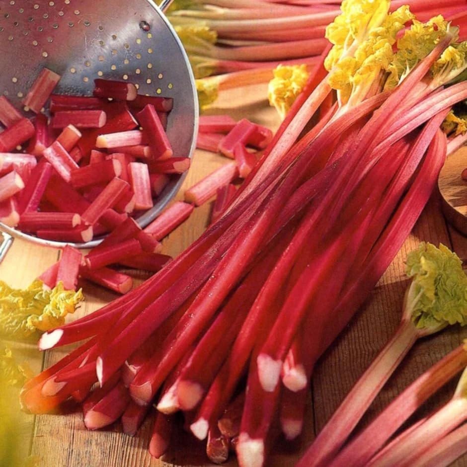 Votaniki Victoria Rhubarb Crown - Perennials, Bulk & Wholesale Rhubarb Crown Ready to Plant | Easy to Grow, Comes Back Every Year (50 Pack) - Image 4
