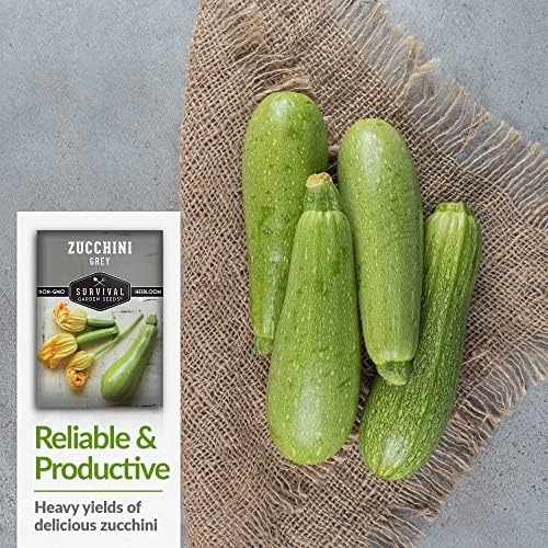 Grey Zucchini Seeds for Planting - 3 Packs - Image 4
