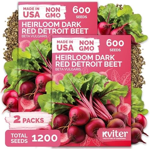 1,200 Detroit Dark Red Beet Heirloom Vegetable Seeds, Beta Vulgaris by KVITER