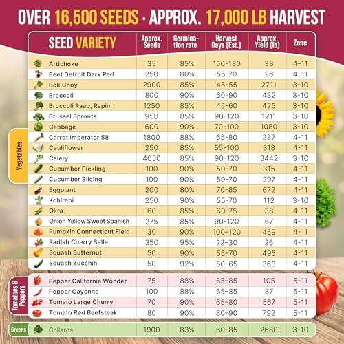 25 Vegetable Seeds Variety Pack - 16,850+ Non-GMO Heirloom Seeds for Planting Vegetables & Fruits in Individual Seed Packets, Home Garden Seed for Hydroponic, Indoor & Outdoor Garden - Image 4