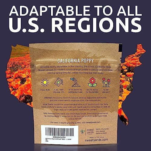 California Orange Poppy Wildflower Seeds - Bulk 1 Ounce Packet - Over 20,000 Native Seeds - California State Flower! - Image 7