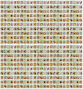 Black Duck Set of 500 Flower Seed Packets! Flower Seeds in Bulk - Best Value Seeds - Great for Classrooms, Beginner Gardeners and Kids! - Deluxe Varieties! (500) by BlackDuckBrand
