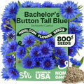SVI 800 Blue Bachelor Button Seeds (Centaurea Cyanus) - Cornflower, Pollinator Favorite, Drought Tolerant, Heirloom Seed - Annual Flower Seeds in Seed Packets for Gardens & Containers, Cut Flowers by SVI