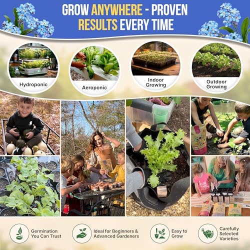 Cape Forget-Me-Not Seeds Pack 3G - Over 1,400 Non-GMO Heirloom Cape Forget-Me-Not Seeds for Planting Flowers in Individual Seed Packet, Flower Seeds for Planting Home Garden Indoor & Outdoor Gardening - Image 5