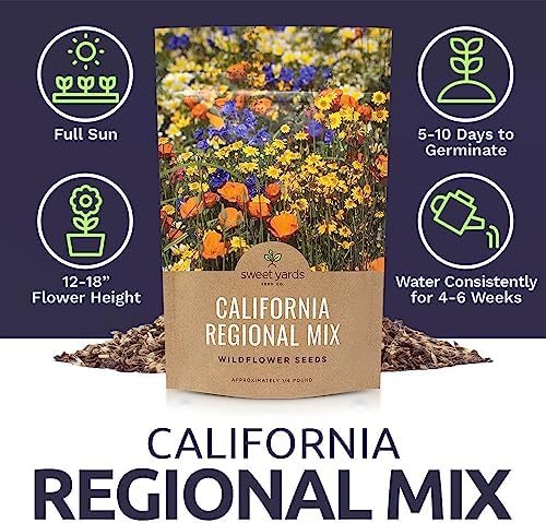 California Wildflower Mixture - Bulk 1/4 Pound Bag - Over 30,000 Native Seeds - Open Pollinated and Non GMO - Image 6