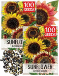 Seed Needs Autumn Beauty Sunflower Seeds to Plant Cut Flowers - 2 Packs by SeedNeeds