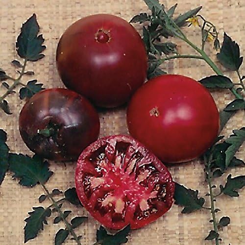 Park Seed Variety of Tomato Seeds, Planting Vegetables, Easy to Grow, Non-GMO, Perfect for Harvesting, Black Krim, Pack of 30 by ParkSeed