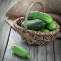 Cucumber Seeds - Spacemaster - Vegetable Seeds, Container Garden, 1 oz by EdenBrothers