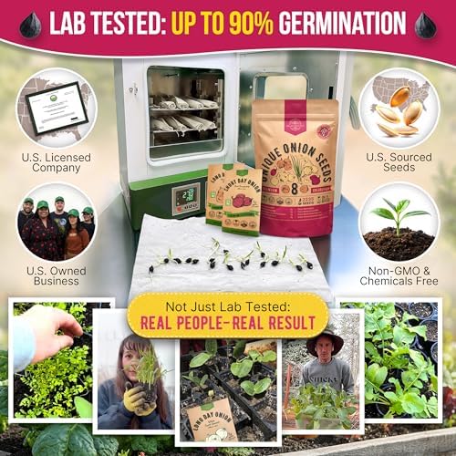 Organo Republic 8 Onion Seeds Variety Pack Heirloom, Non-GMO, Sets for Indoors, Outdoors Gardening. 2200+ Seeds: Walla Walla, Green Onion, Red Burgundy, White & Yellow Sweet Spanish Onions - Image 2
