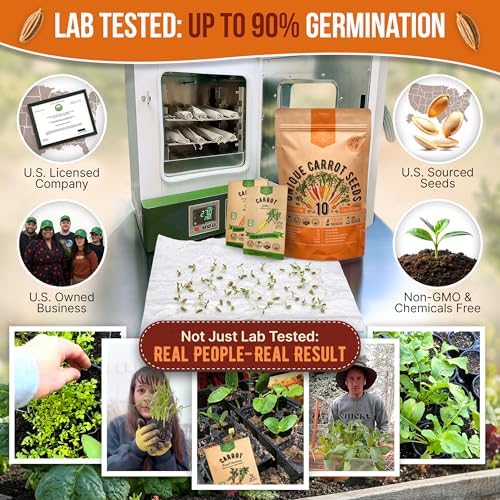 Organo Republic 10 Unique Carrot Seeds Variety Pack - 7,550+ Non-GMO Heirloom Carrot Seeds for Outdoor & Indoor Home Gardening, Including Carrot Imperator 58, Little Fingers, Scarlet Nantes, Parisian - Image 2