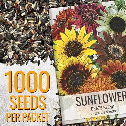 Seed Needs Sunflower Seeds to Plant Original Crazy Blend 1 Ounce Bulk Pack - Image 2