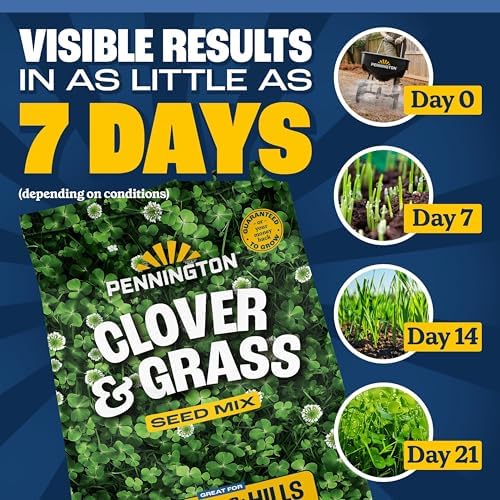 Pennington Clover & Grass Mix 7 Pounds (Pack of 2) - Image 4