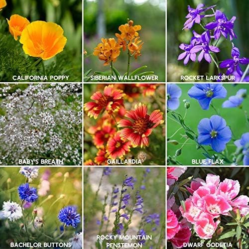 Mountain Valley Seed Co Rocky Mountain Wildflower Seeds Mix 1 Lb Seed Pouch - Image 3