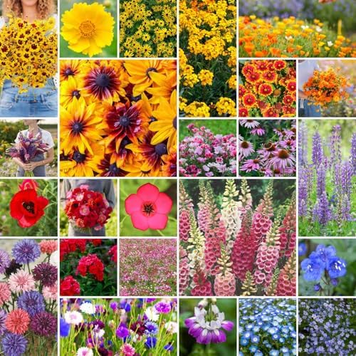 Eden Brothers Pacific Northwest Wildflower Mixed Seeds for Planting, 25 lb, 12,000,000+ Seeds with Cornflower, CA Bluebell, Attracts Pollinators, Plant in Spring or Fall, Zones 3, 4, 5, 6, 7, 8, 9, 10 by EdenBrothers