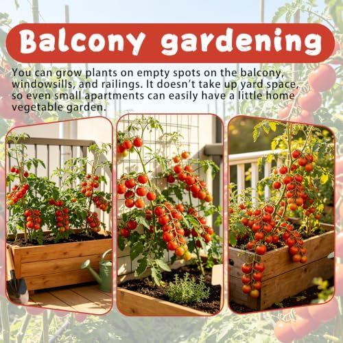 Cherry Tomato Seeds, Heirloom Mini Sweet Tomato Seeds for Planting Fruits - Image 2