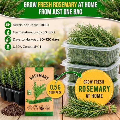 Rosemary Seeds Pack 0.5 G - Over 325 Non-GMO Heirloom Seeds for Planting Herbs in Individual Packet, Home Garden Indoor & Outdoor Gardening - Image 4