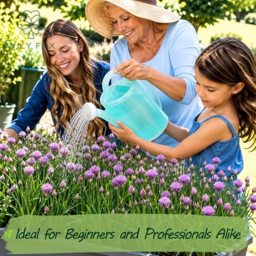 Chives Seeds for Planting, Heirloom Non-GMO Culinary Herb, 1000 Count Scallion - Image 2