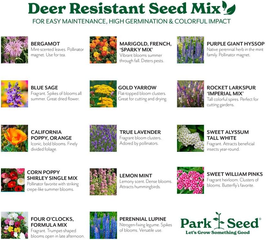 Park Seed Grow Your Own Vibrant Annual and Perennial Wildflower Garden Seed Mixture, Easy to Grow Varieties for Pollinators and Spring Gardens - Deer Resistant Mix, 5 lbs - Image 3
