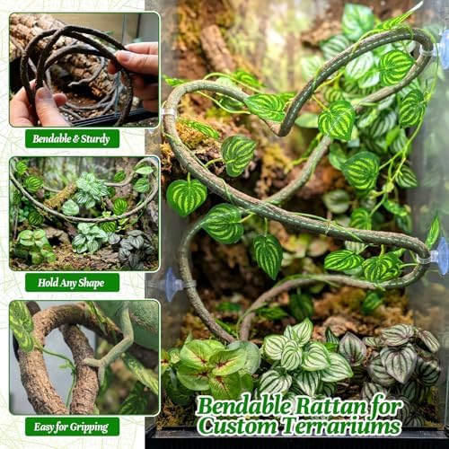 5 Pcs Reptile Plants & Habitat Decor Kit - Artificial Plants & Large 3.3ft Jungle Vine Branch, Artificial Leaves with Suction Cup Tank Decor Accessories for Crested Gecko, Lizard, Snake,Forg,Tortoise - Image 5