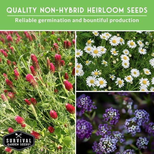 Flowering Ground Cover Seeds for Planting – 5 Variety Collection - Image 4