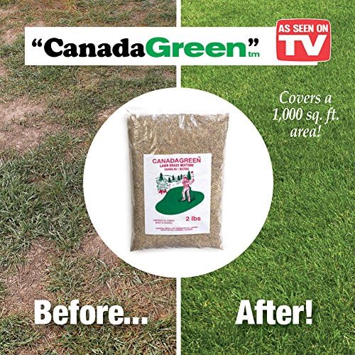 Canada Green Grass Seed - 2 Lb. Bag, Brown - Image 3