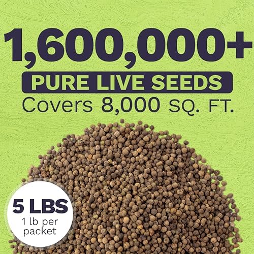 Bulk California Orange Poppy Wildflower Seeds - 5 Pounds - Over 1,600,000 Native Seeds - California State Flower! - Image 3
