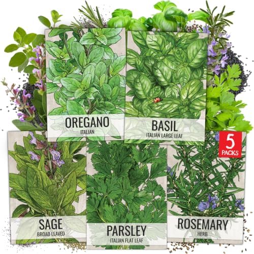 Seed Needs Herb Seeds Variety Pack of 5 - Italian Herbs Non-GMO & Heirloom by SeedNeeds
