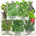 Seed Needs Herb Seeds Variety Pack of 5 - Italian Herbs Non-GMO & Heirloom by SeedNeeds