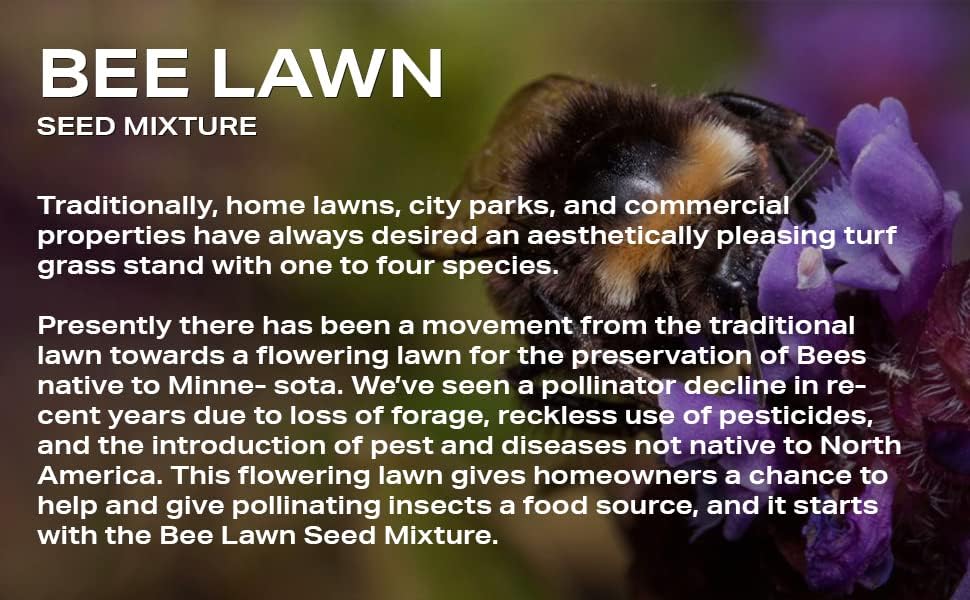 Bee Lawn Seed Mixture, 25 lb - Image 5
