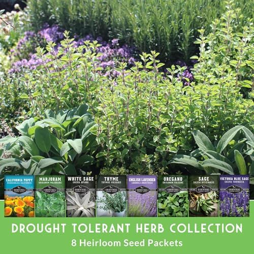 Drought Tolerant Herb and Flower Seeds for Planting - 8 Variety Pack - Image 3