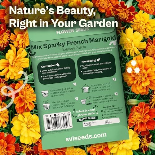 SVI 350 Sparky Mix French Marigold Seeds (Tagetes patula) – Dwarf Yellow and Orange Marigold Flowers Seed Packets, Marigolds Seed Mix – Heirloom Cut Flower Seeds for Outdoor Garden Borders, Containers - Image 2