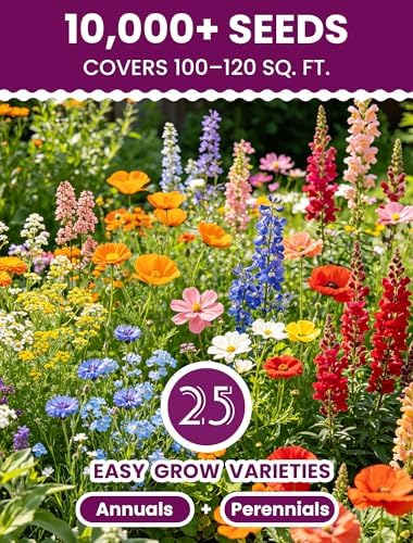 Bee & Butterfly BFF Wildflower Seed Mix – 25 Heirloom Varieties, 112,500+ Seeds (450g) Covers 1125-1350 sq. ft. – High Germination for Outdoor Pollinator Garden - Image 2