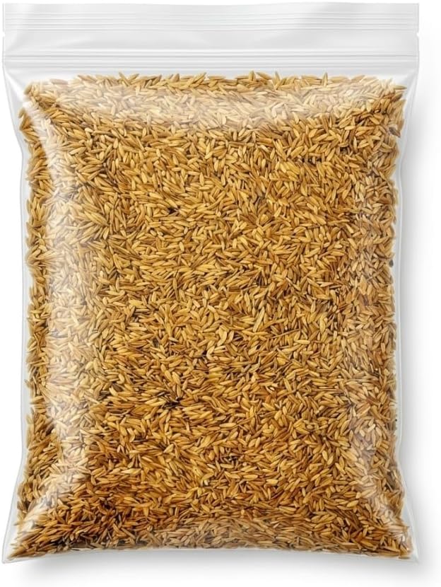 100.000 Zenith Zoysia Grass Seeds Zoysia Grass Seed for Lush Lawngrass Seeds,Low-Maintenance Lawn, Groundcover - Image 4