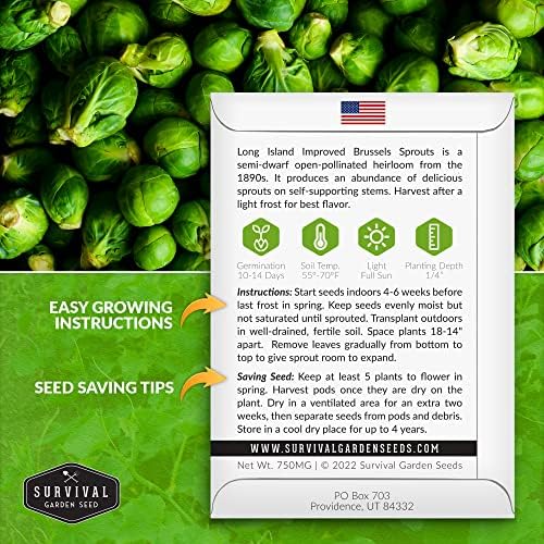 Long Island Improved Brussels Sprout Seeds for Planting (1 Pack) - Image 2