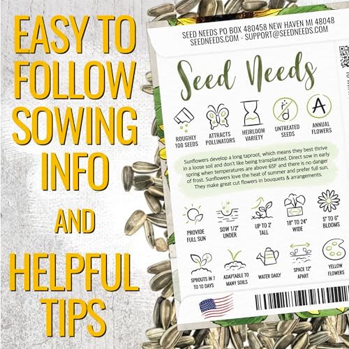 Seed Needs Yellow Pygmy Sunflower Seeds to Plant Cut Flowers - 2 Packs - Image 3